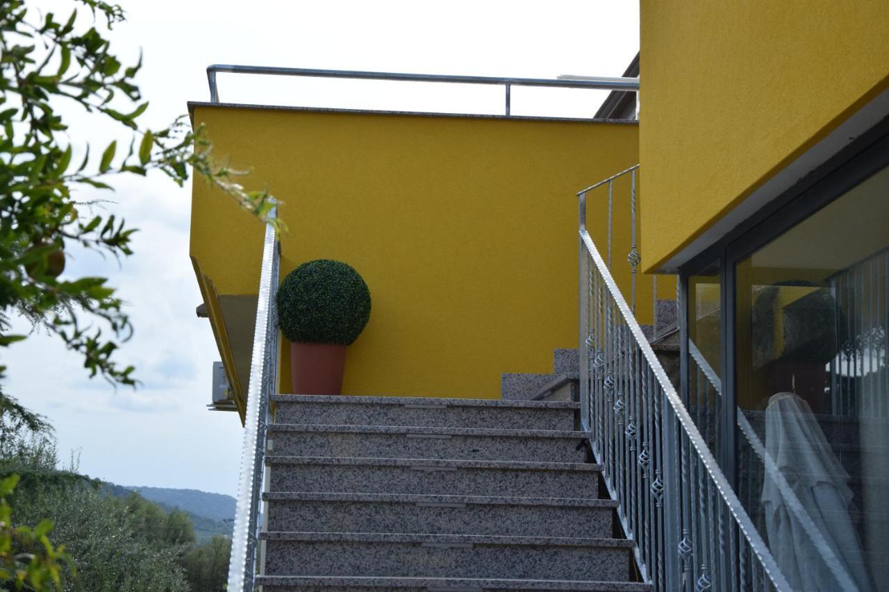 Stella D'oro Vibo Valentia